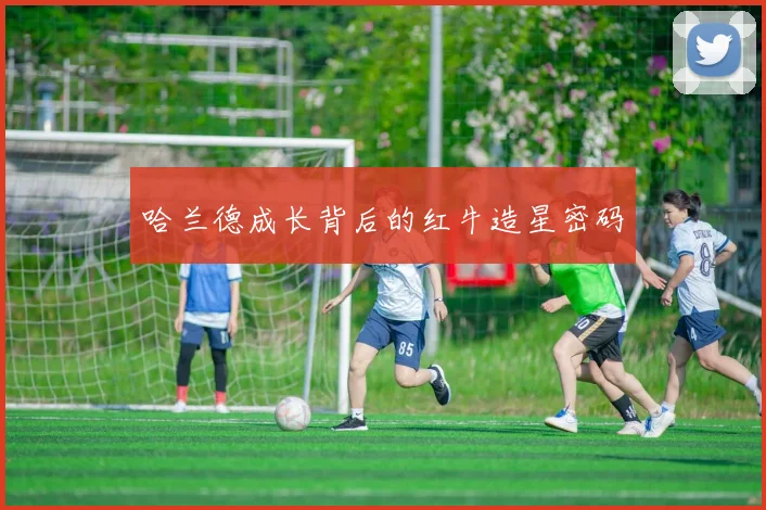 哈兰德成长背后的红牛造星密码
