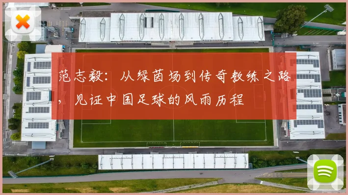 范志毅：从绿茵场到传奇教练之路，见证中国足球的风雨历程
