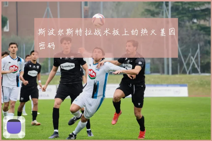 斯波尔斯特拉战术板上的热火基因密码