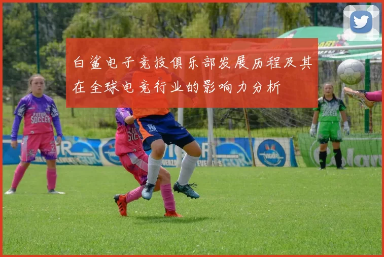 白鲨电子竞技俱乐部发展历程及其在全球电竞行业的影响力分析