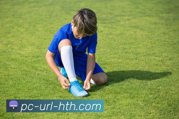 华体会hth服务体系